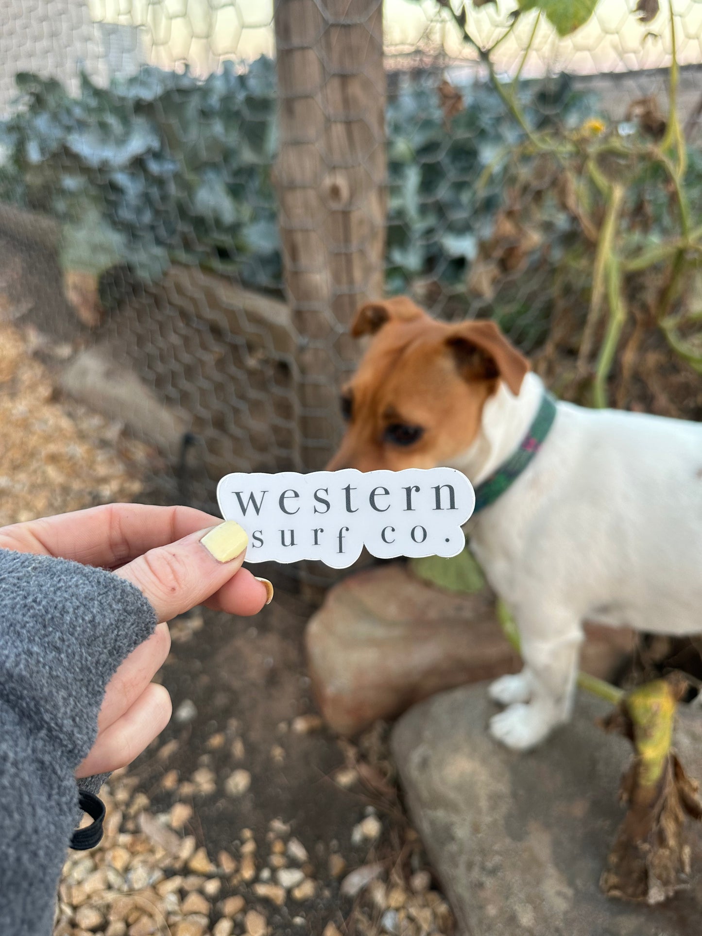 Classic WSC | Sticker