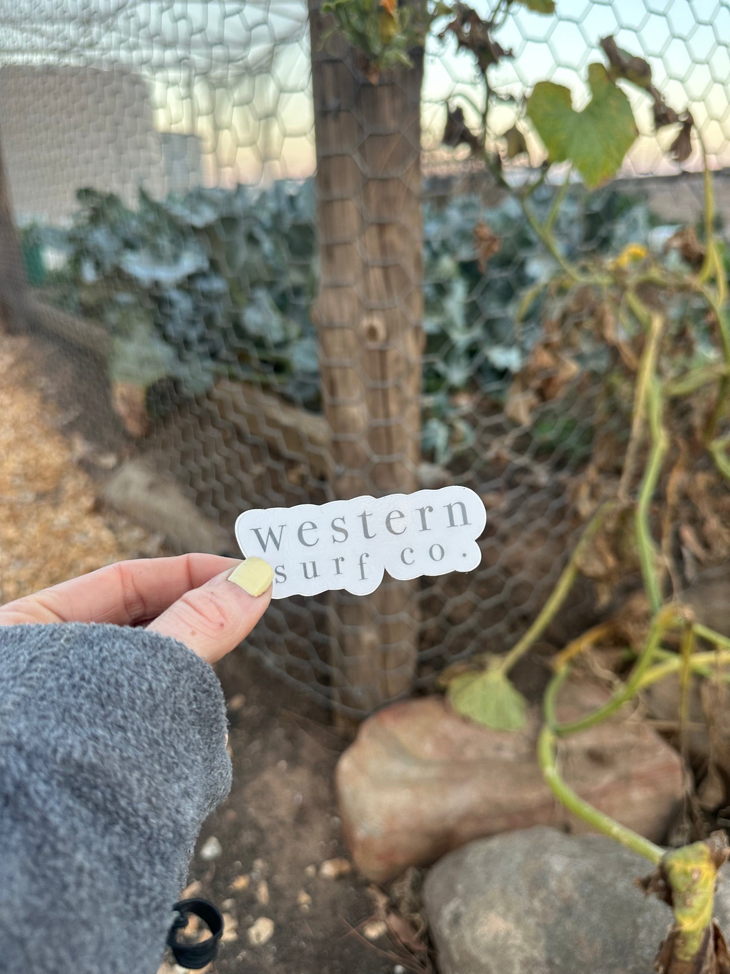 Classic WSC | Sticker