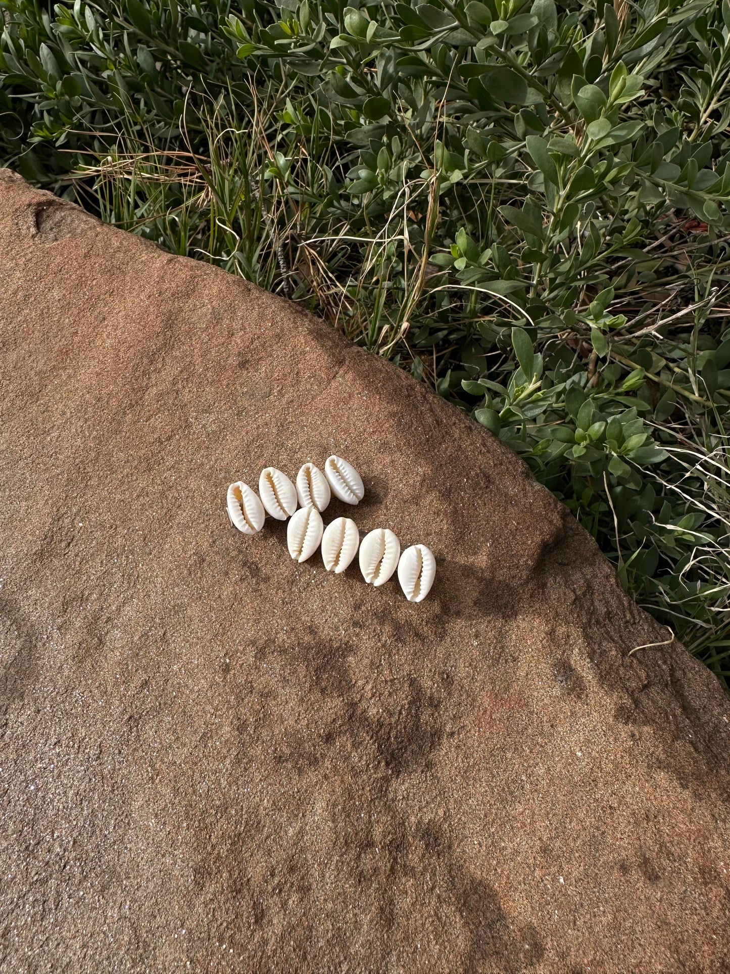 Cowrie Shell Hair Clip