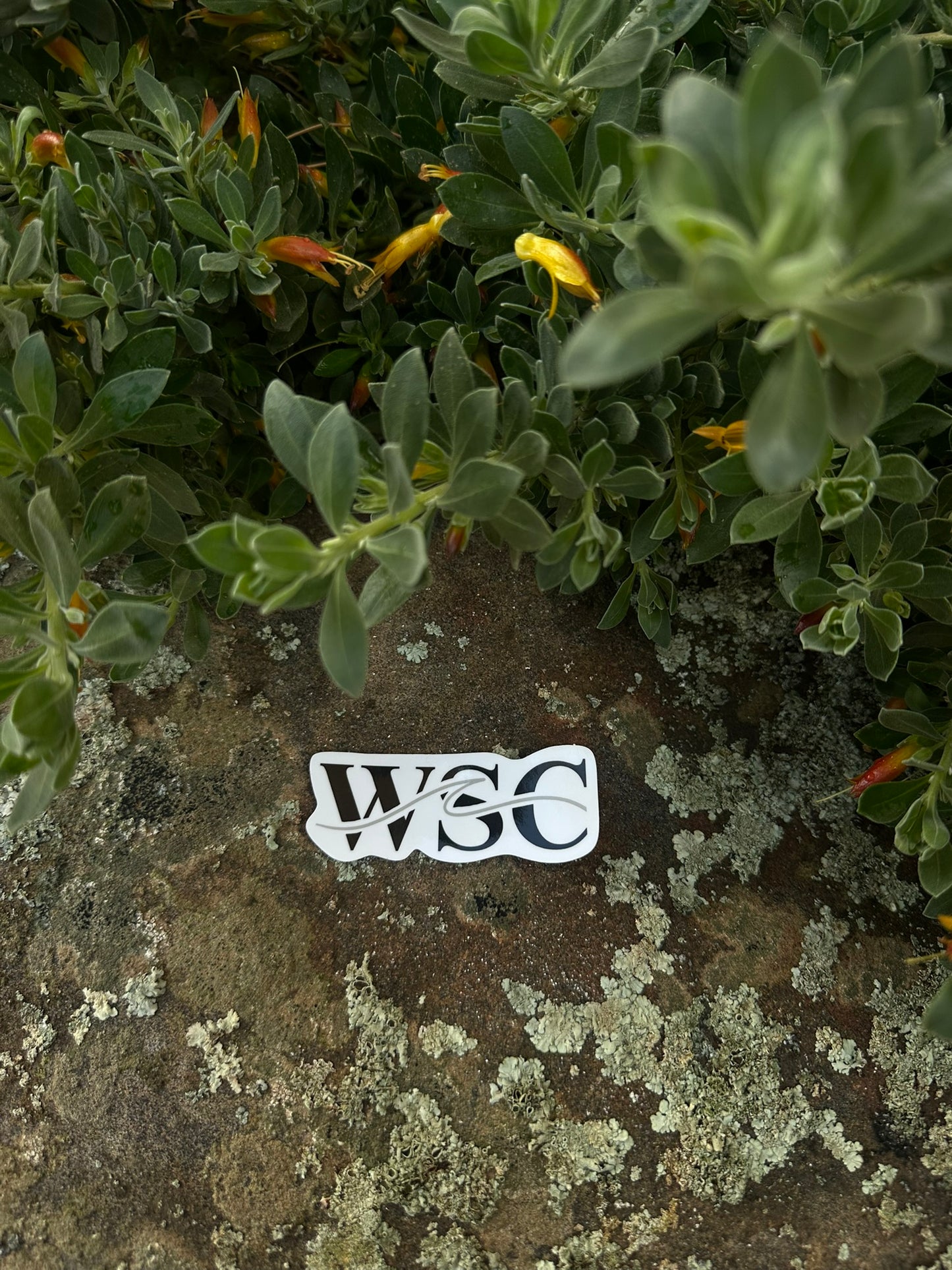 WSC Wave | Sticker