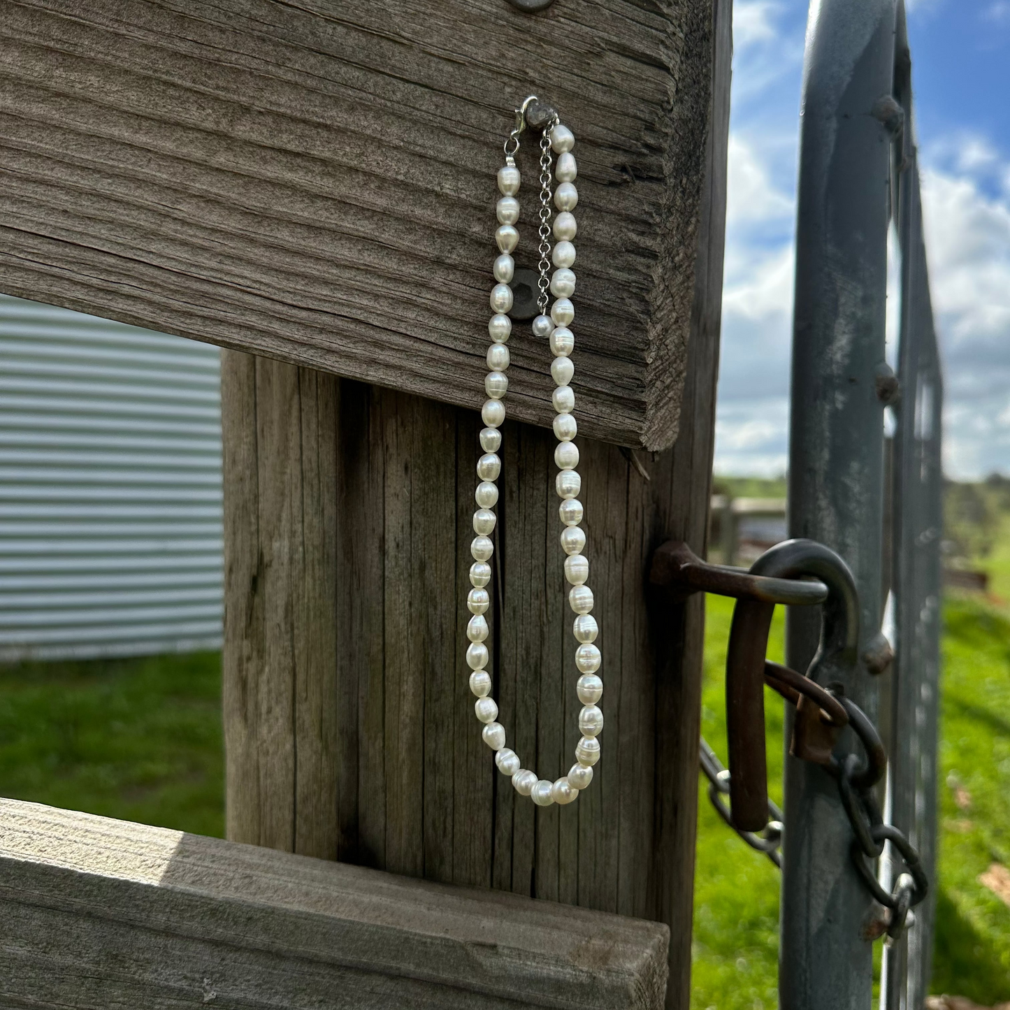 Fresh Water Pearl Necklace | Silver