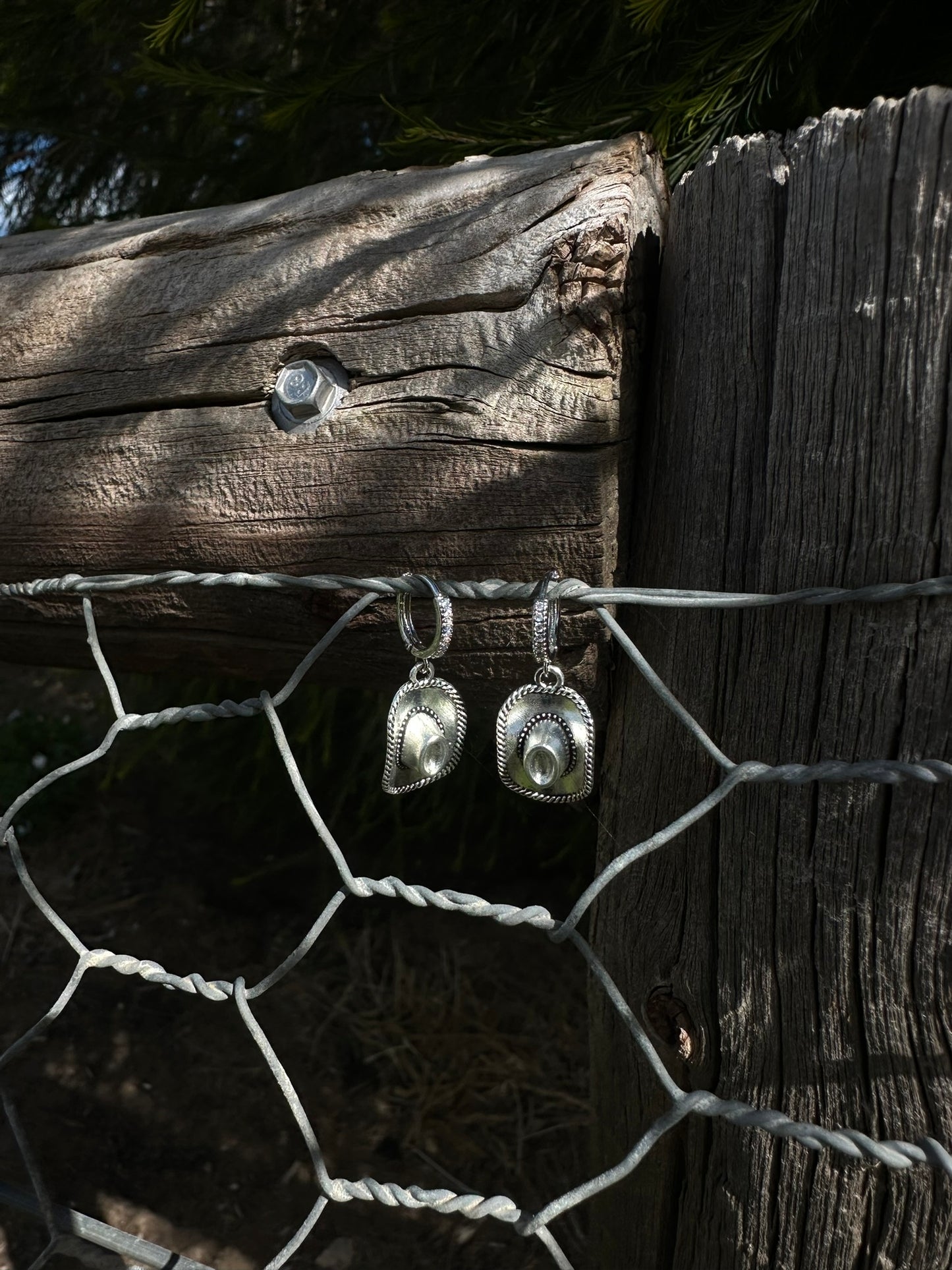 Coastal Cowgirl | Earrings