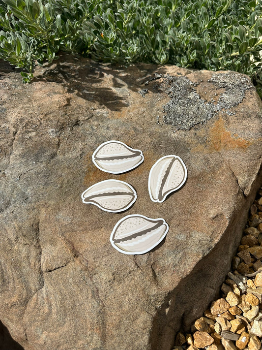 Cowrie Shell | Sticker