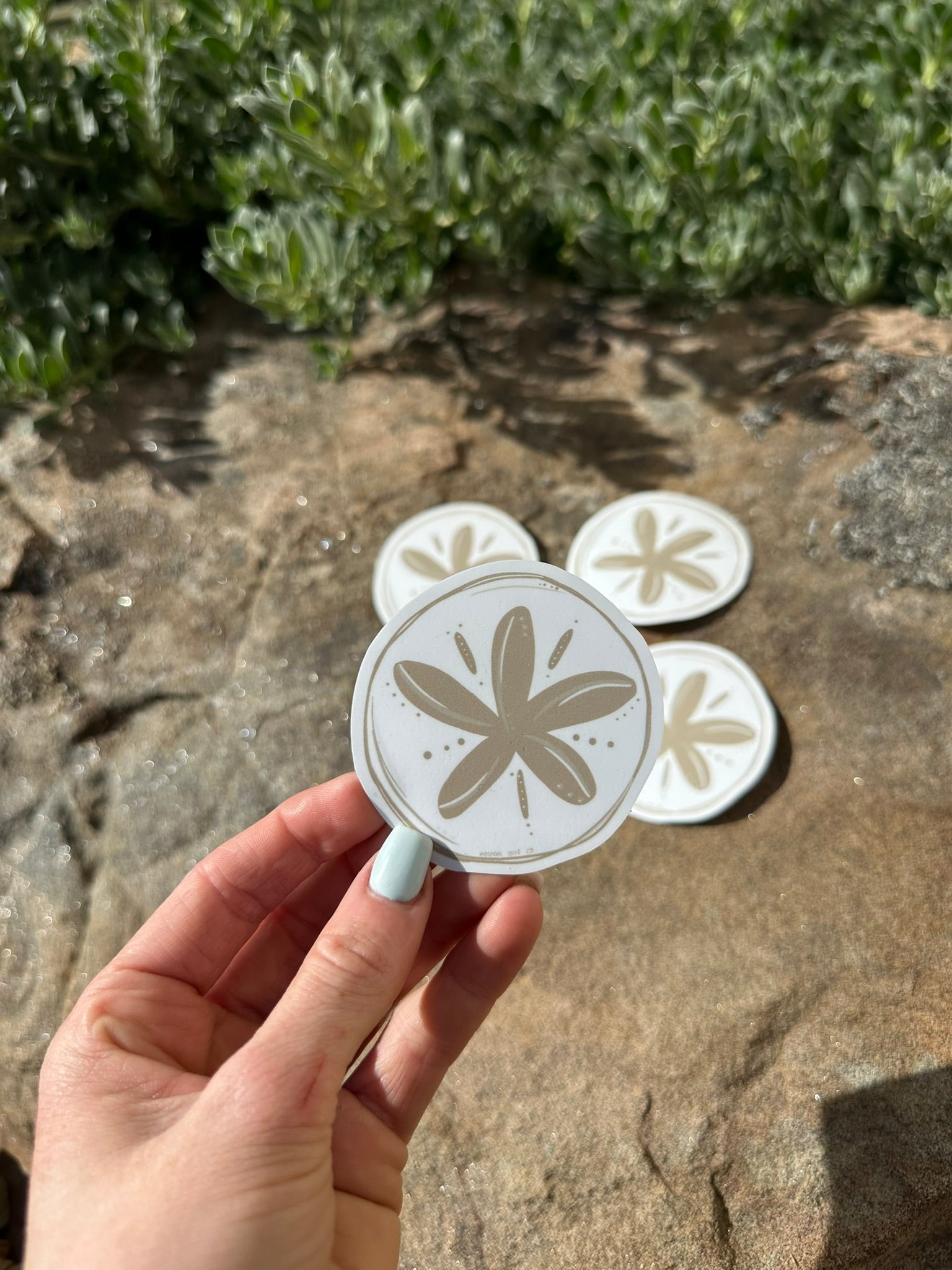 Sand Dolla | Sticker – Western Surf Co.